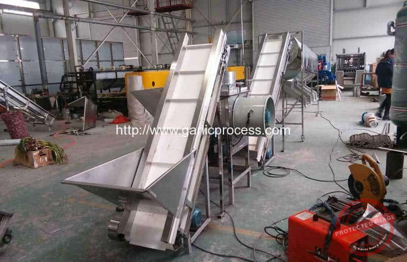 New-Zealand-Stainless-Steel-Garlic-Clove-Separating-and-Seeds-Size-Sorting-Line